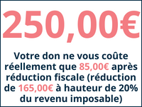 250,00€